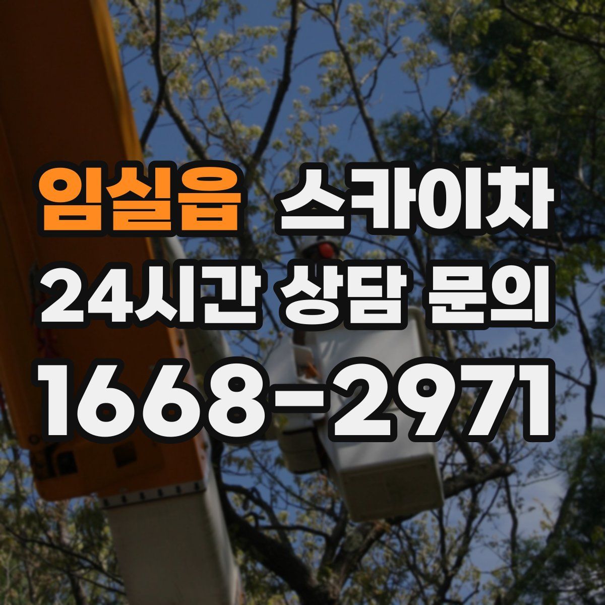 임실읍 스카이차