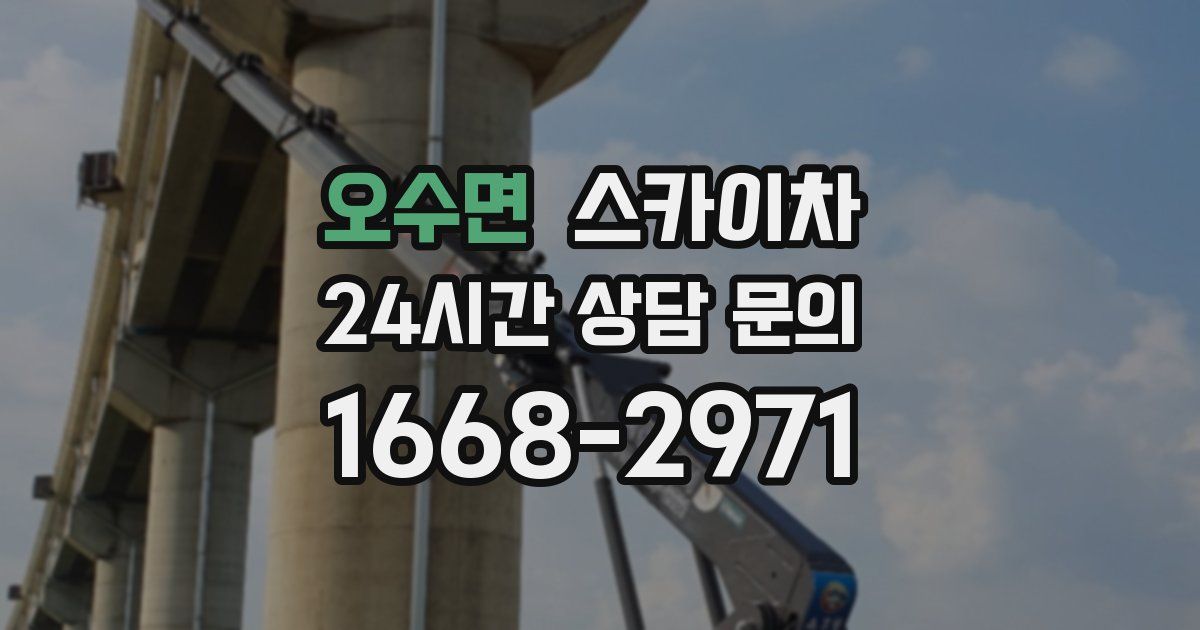 오수면 스카이차