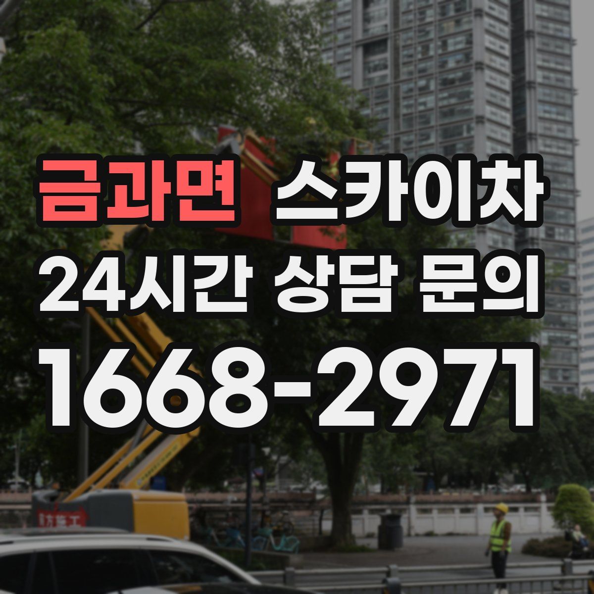 금과면 스카이차