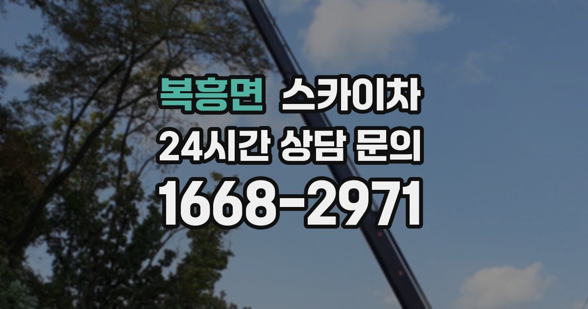 복흥면 스카이차