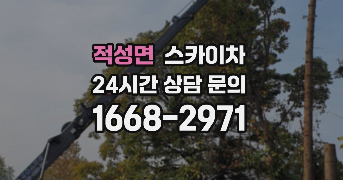 적성면 스카이차