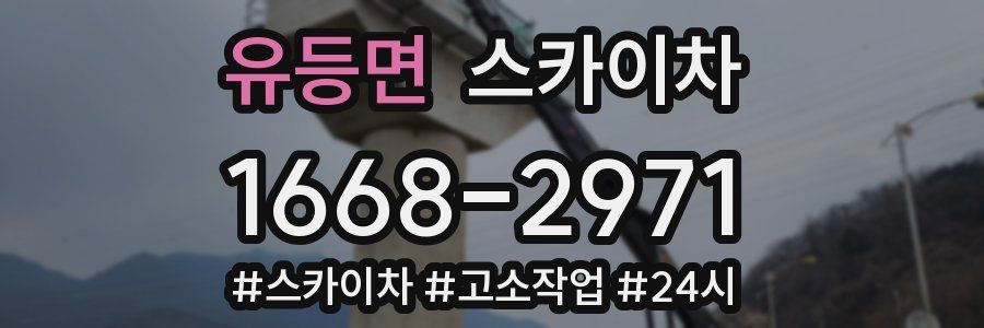 유등면 스카이차