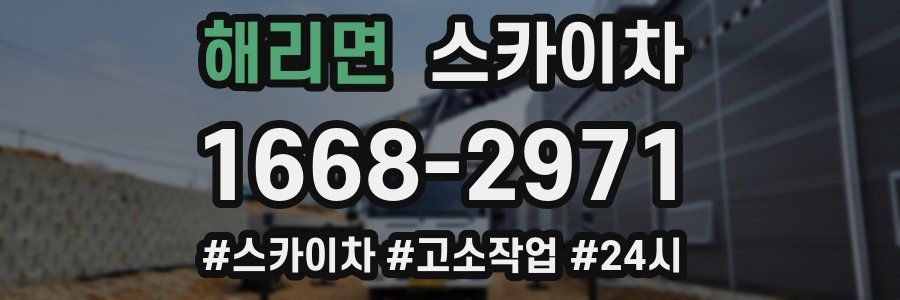 해리면 스카이차