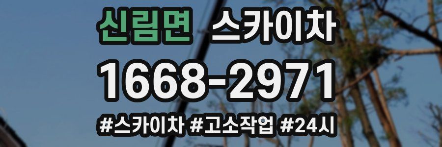 신림면 스카이차