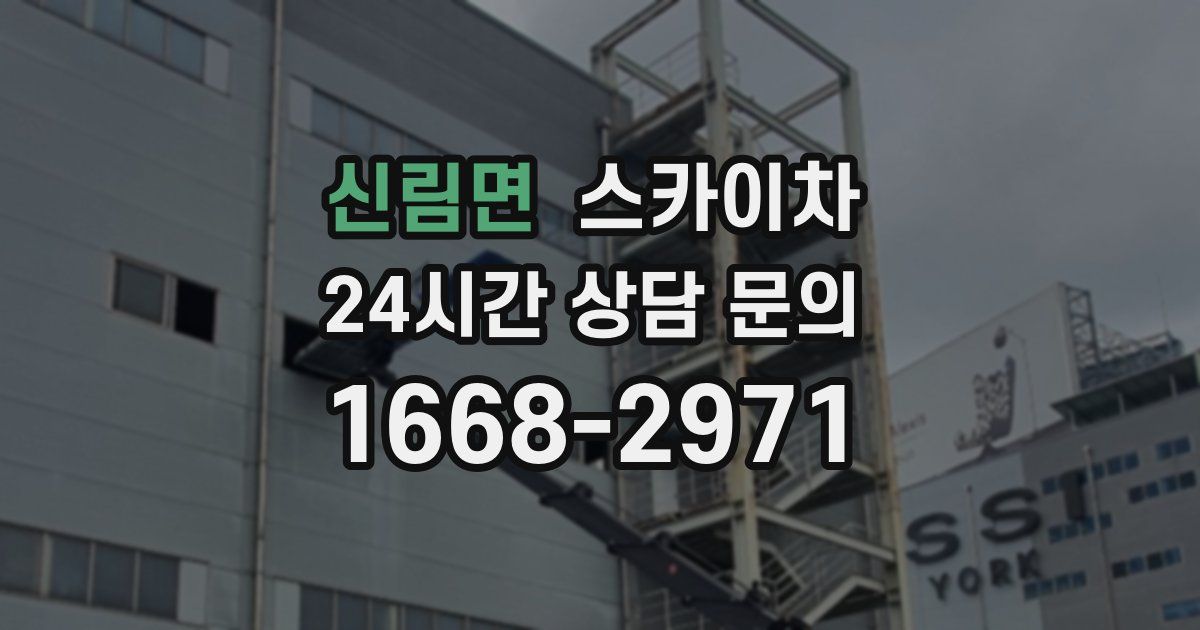 신림면 스카이차