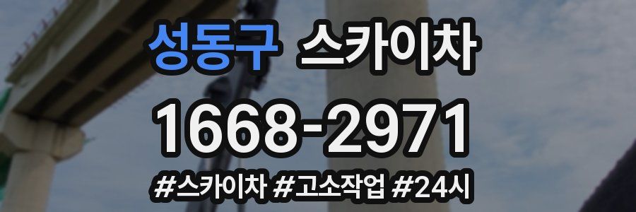 성동구 스카이차