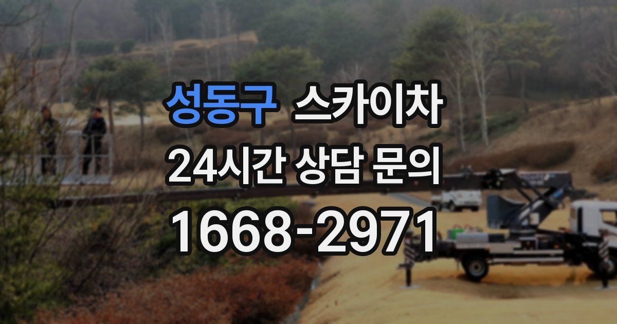 성동구 스카이차