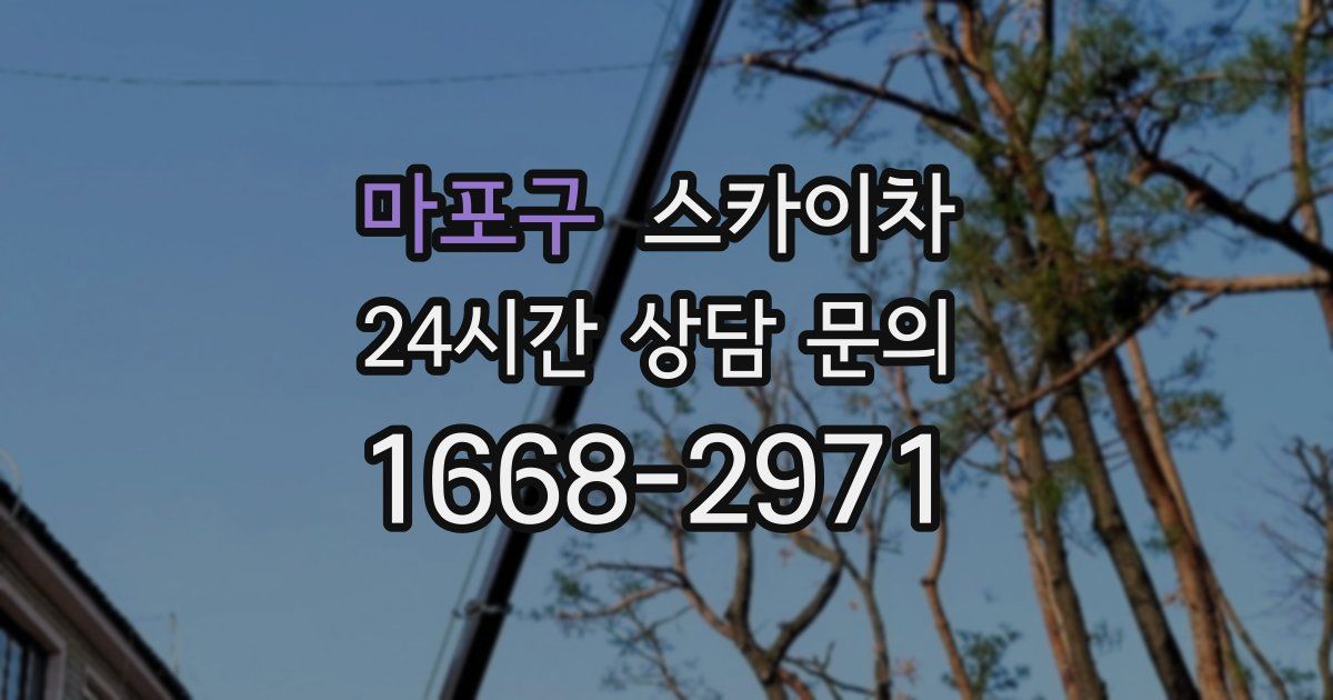 마포구 스카이차