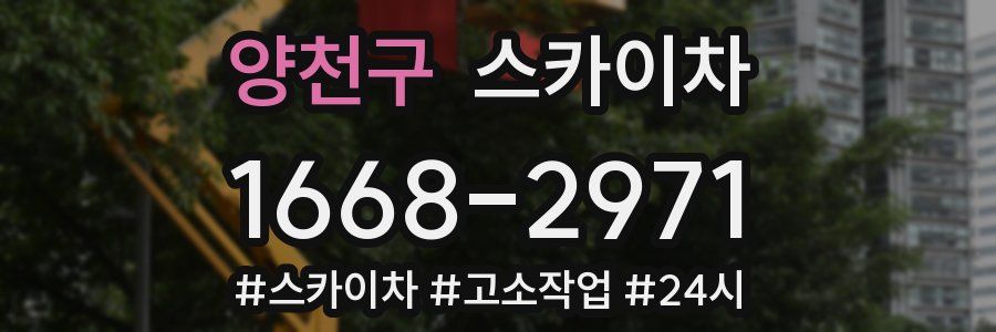 양천구 스카이차