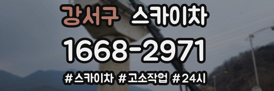 강서구 스카이차