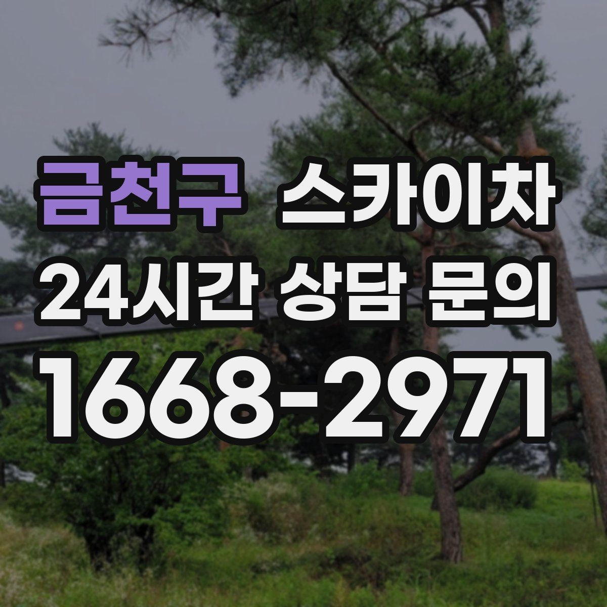 금천구 스카이차 겨울철 간판 조명 점검으로 안전 확보