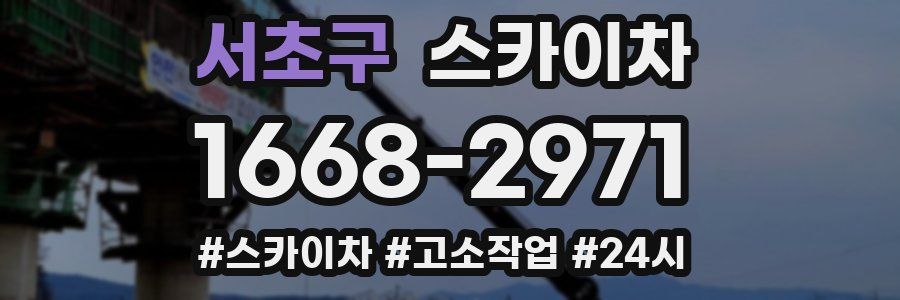 서초구 스카이차