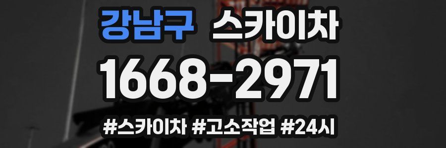 강남구 스카이차