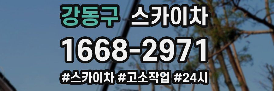 강동구 스카이차