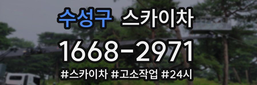 수성구 스카이차