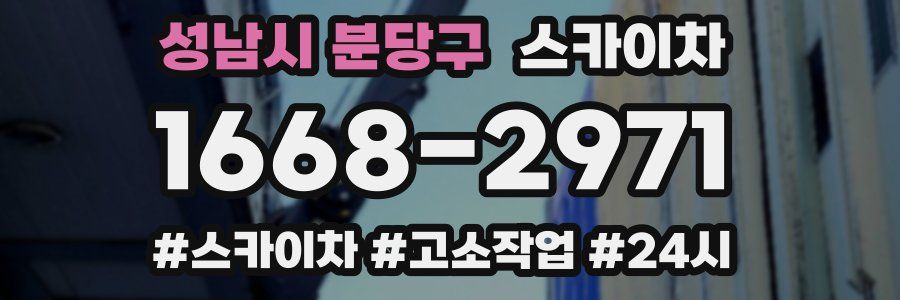 성남시 분당구 스카이차