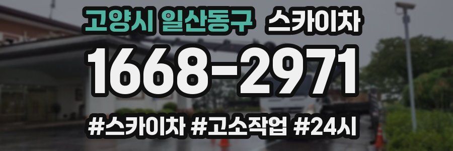 고양시 일산동구 스카이차