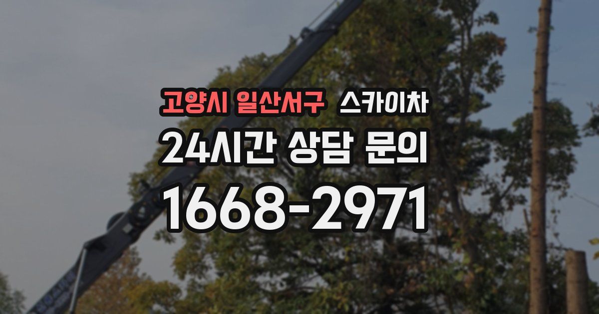고양시 일산서구 스카이차