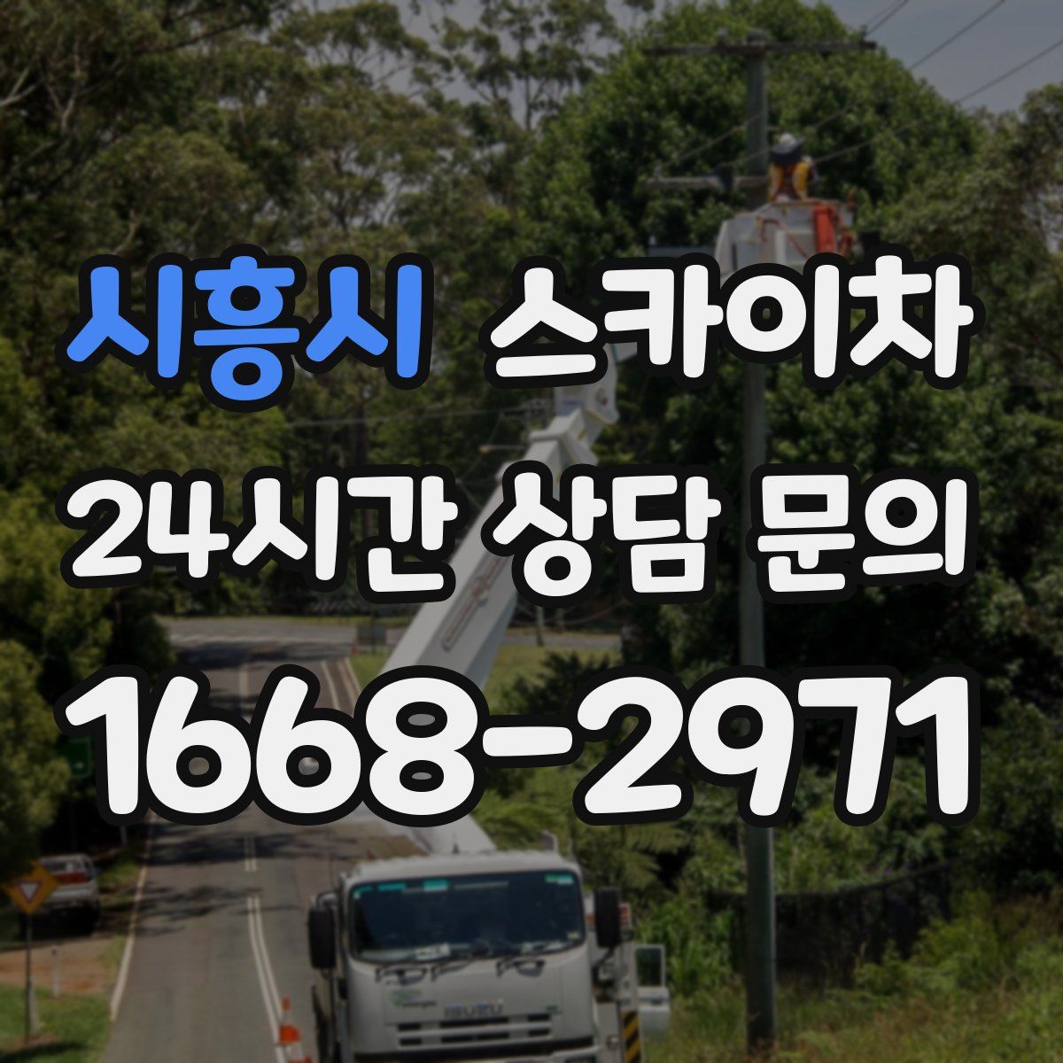 시흥시 스카이차