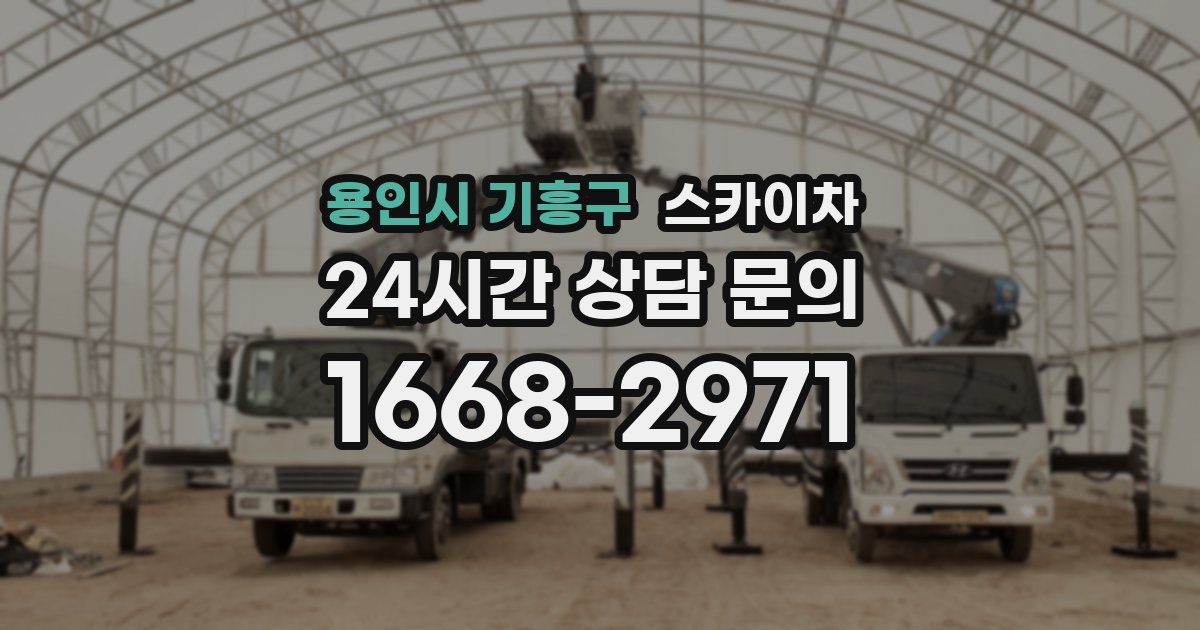 용인시 기흥구 스카이차