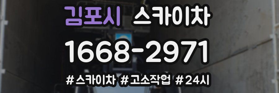 김포시 스카이차