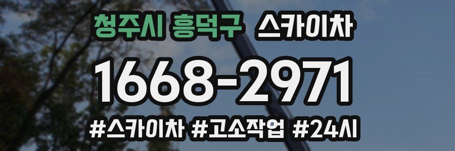 청주시 흥덕구 스카이차