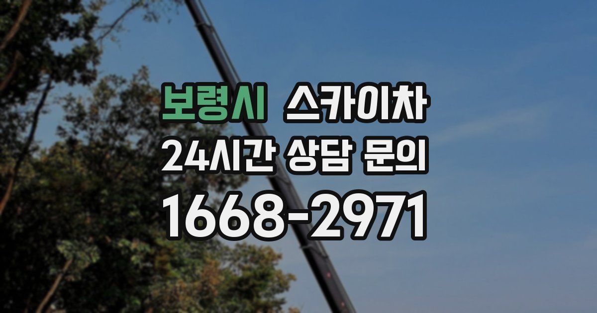 보령시 스카이차