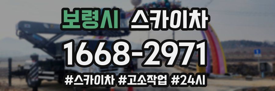 보령시 스카이차