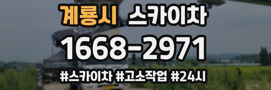 계룡시 스카이차