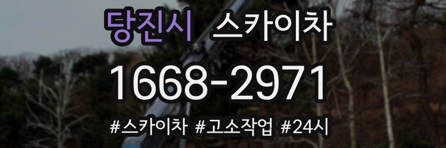 당진시 스카이차