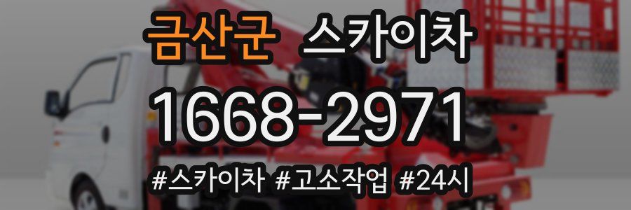 금산군 스카이차