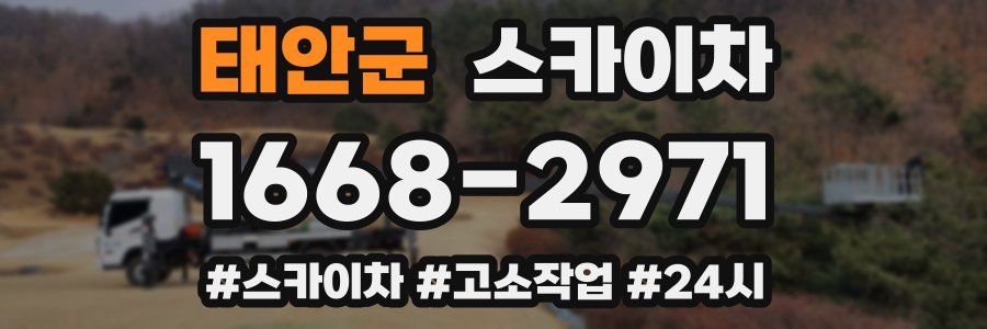 태안군 스카이차