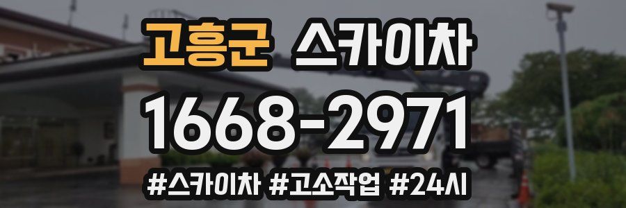고흥군 스카이차
