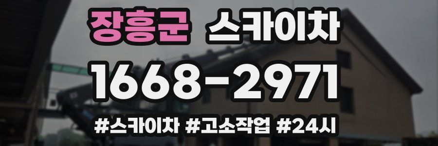 장흥군 스카이차