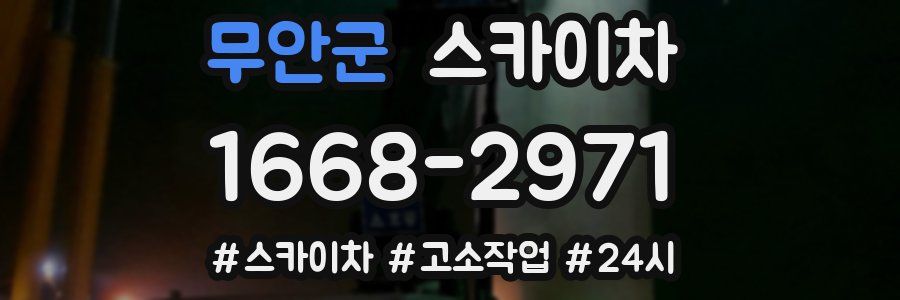 무안군 스카이차