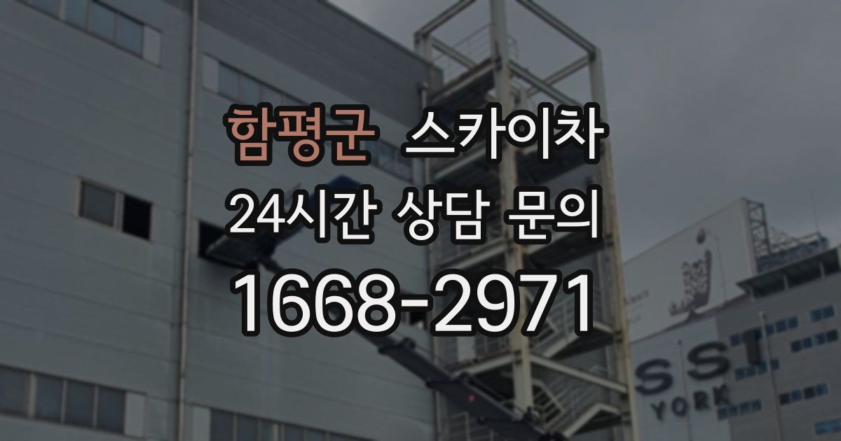 함평군 스카이차