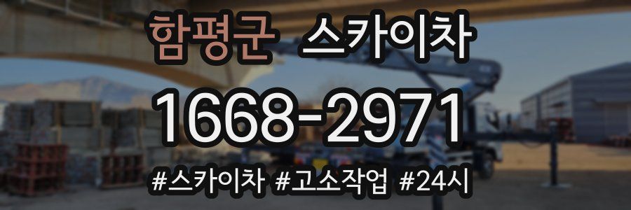 함평군 스카이차