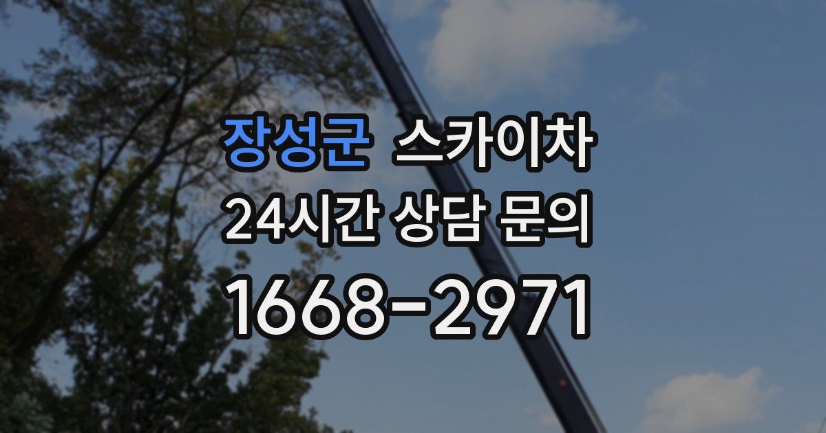 장성군 스카이차