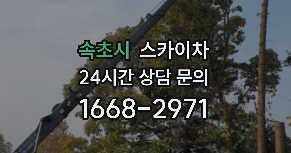 속초시 스카이차