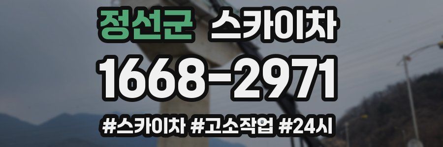 정선군 스카이차