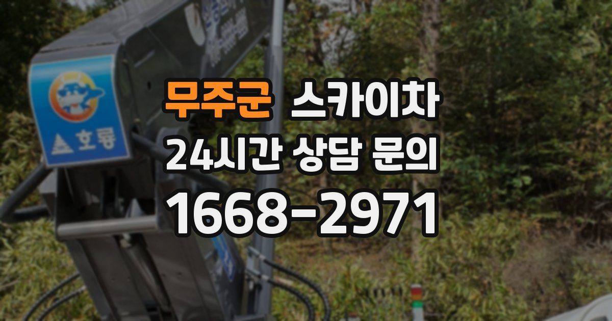 무주군 스카이차