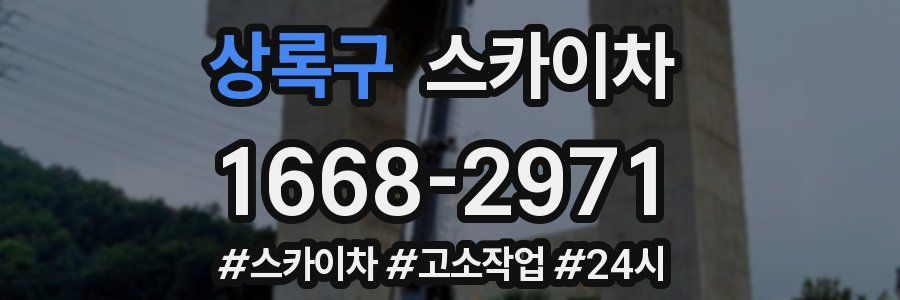 상록구 스카이차