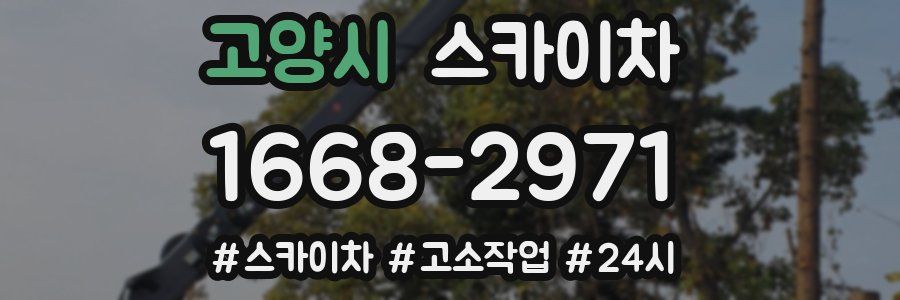 고양시 스카이차