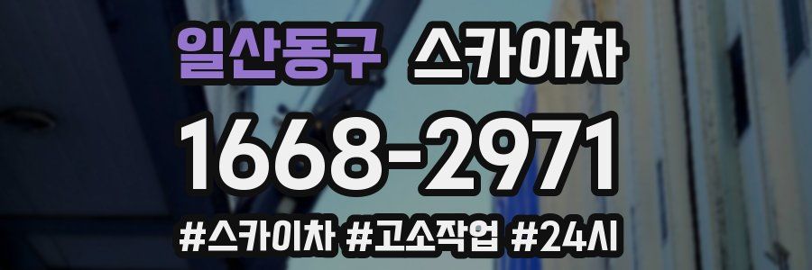 일산동구 스카이차