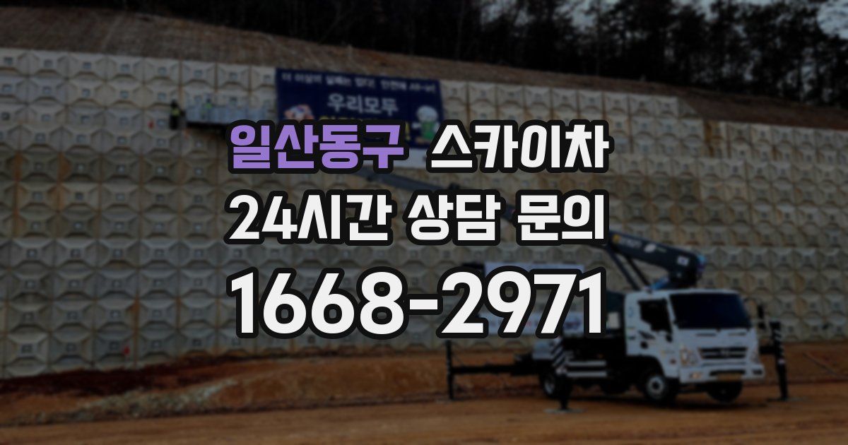 일산동구 스카이차