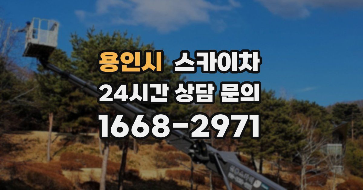 용인시 스카이차