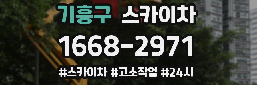 기흥구 스카이차