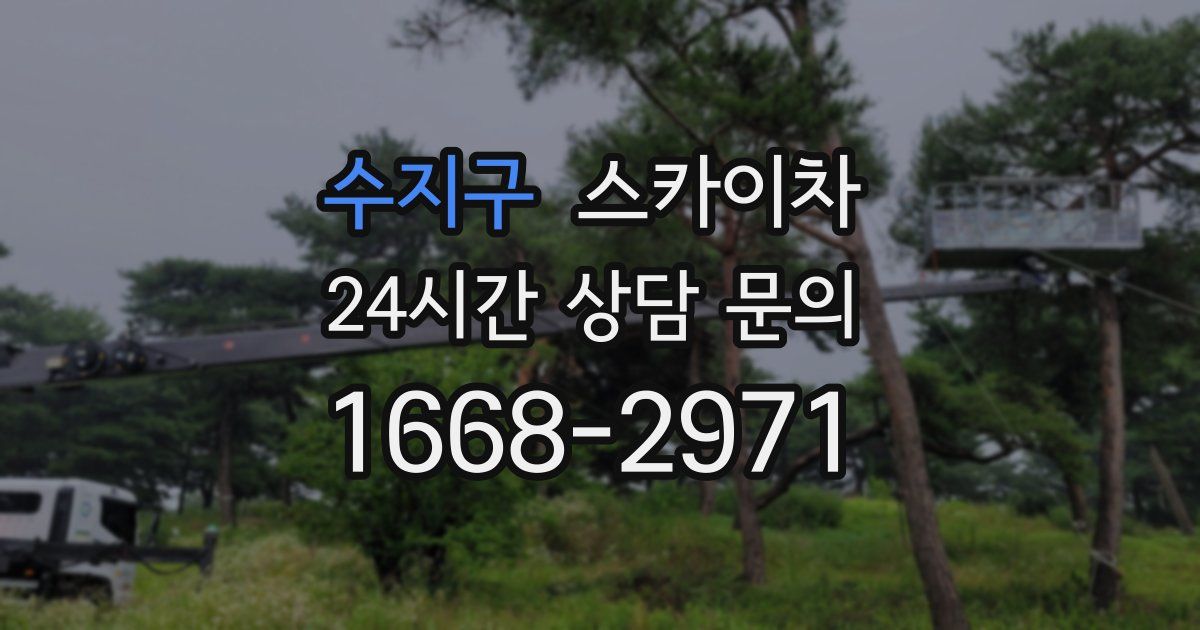 수지구 스카이차