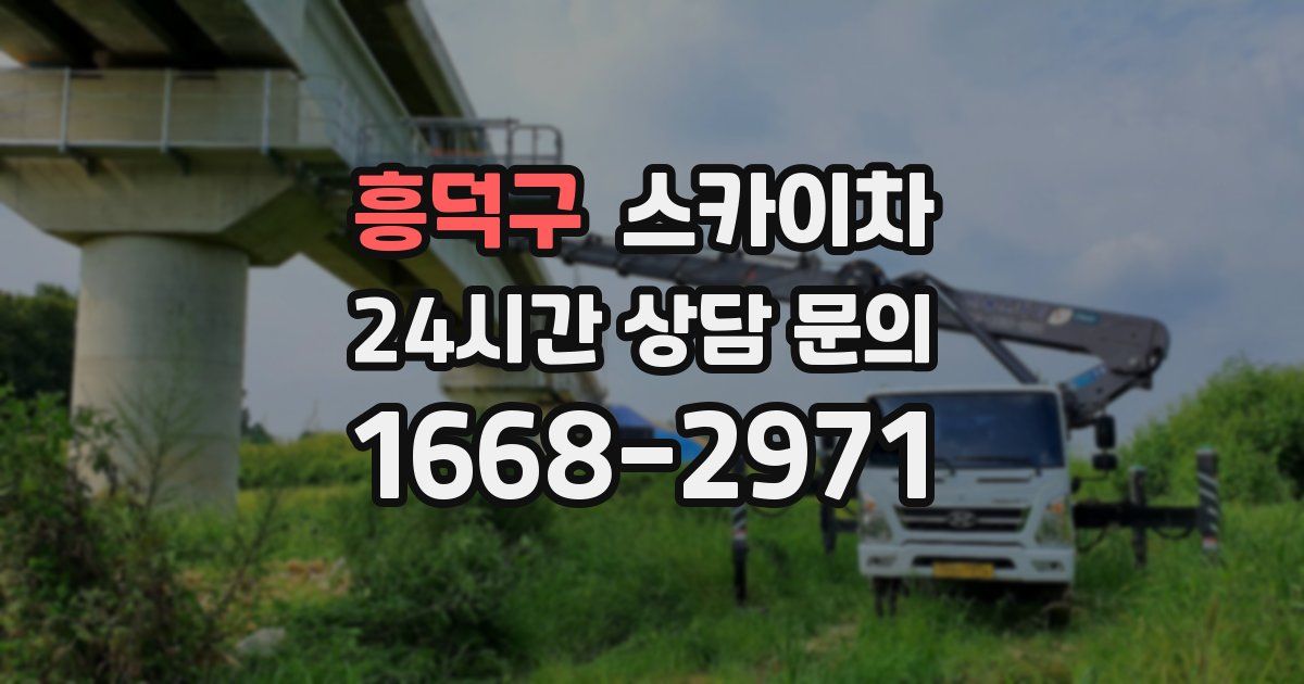 흥덕구 스카이차