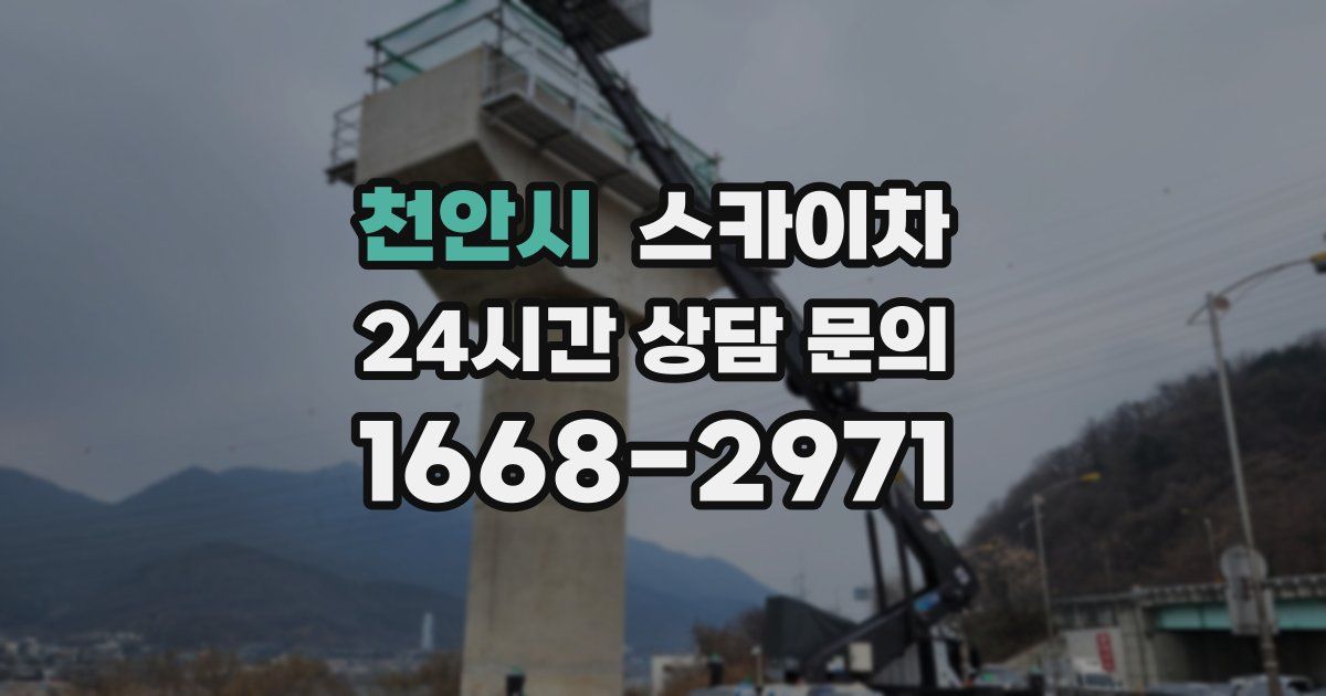 천안시 스카이차
